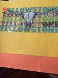 Yellowstone #101